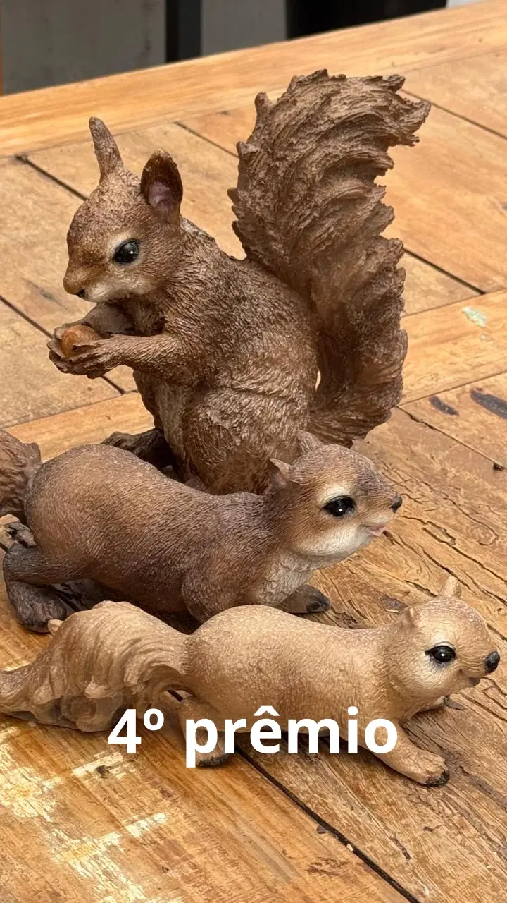 5ª imagem da campanha