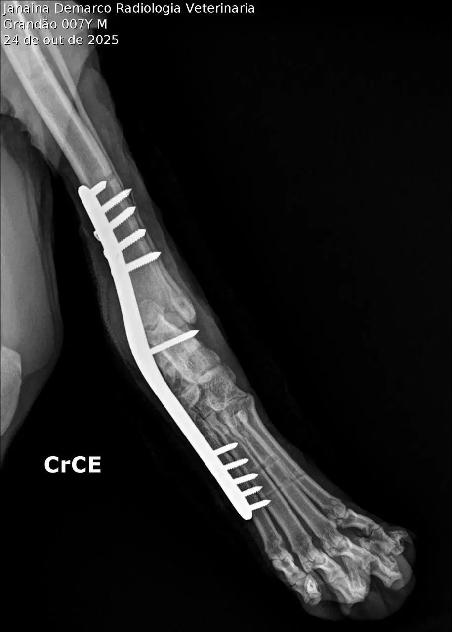 3ª imagem da campanha