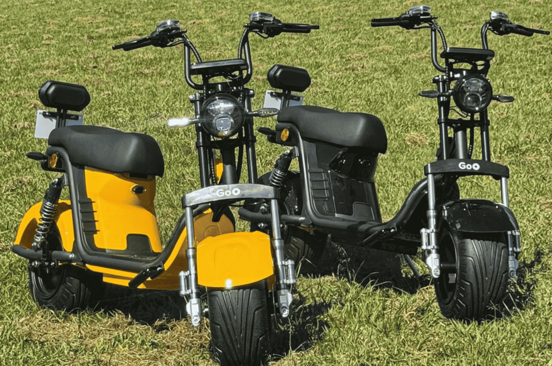 1ª imagem da campanha