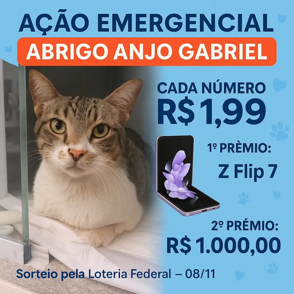 1ª imagem da campanha