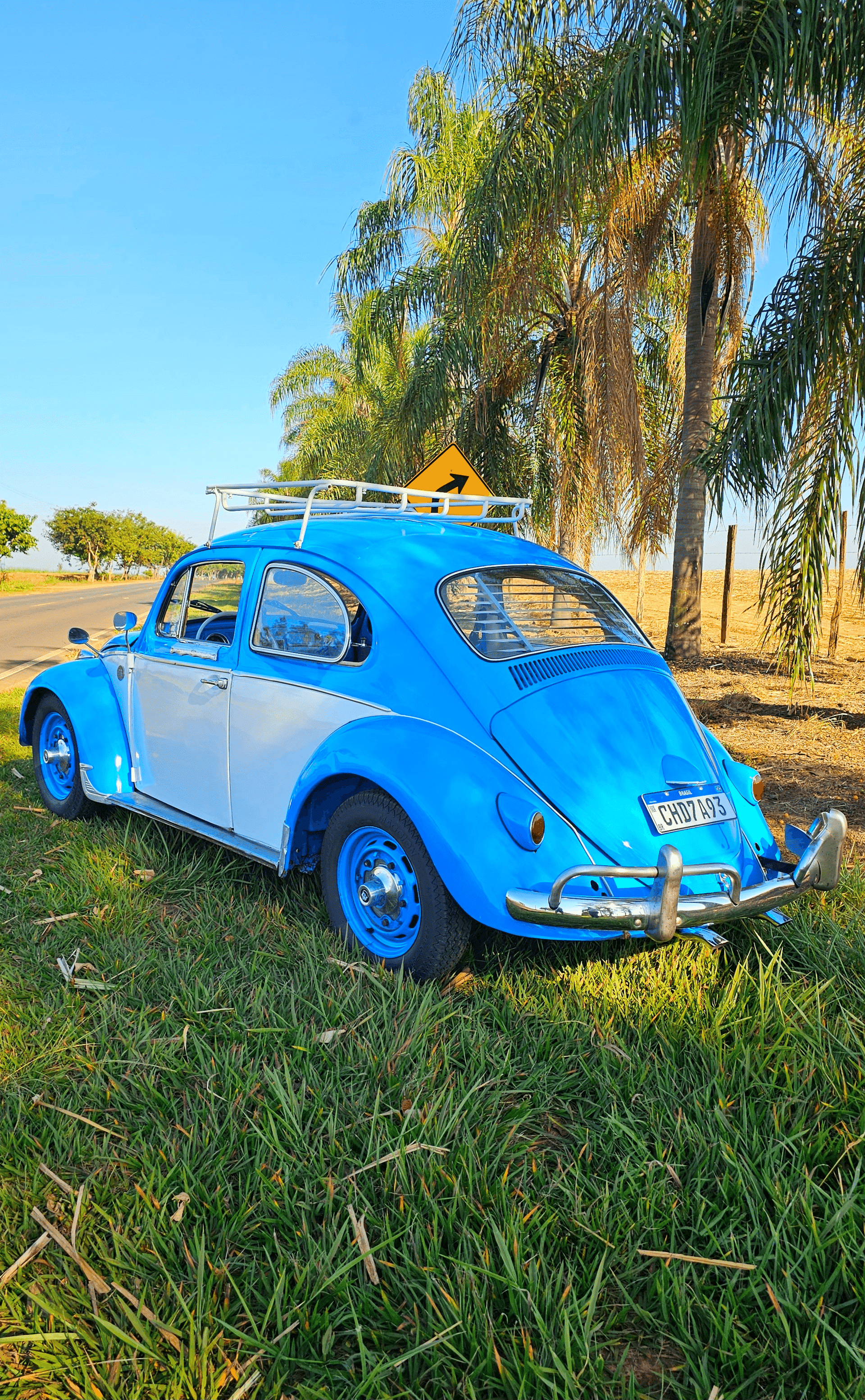 14ª imagem da campanha