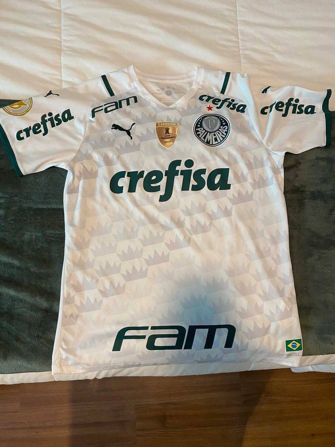CAMISA DO PALMEIRAS USADA E AUTOGRAFADA PELO RAPHAEL VEIGA
