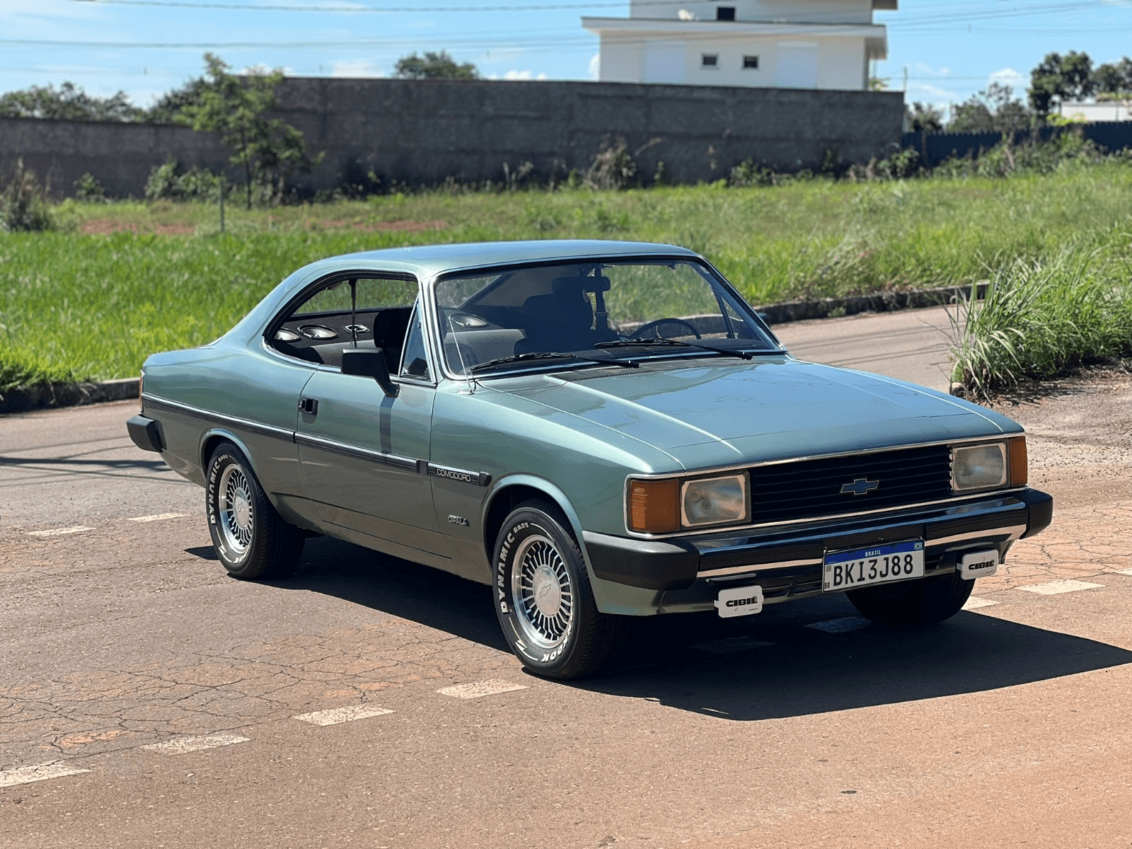 11ª imagem da campanha