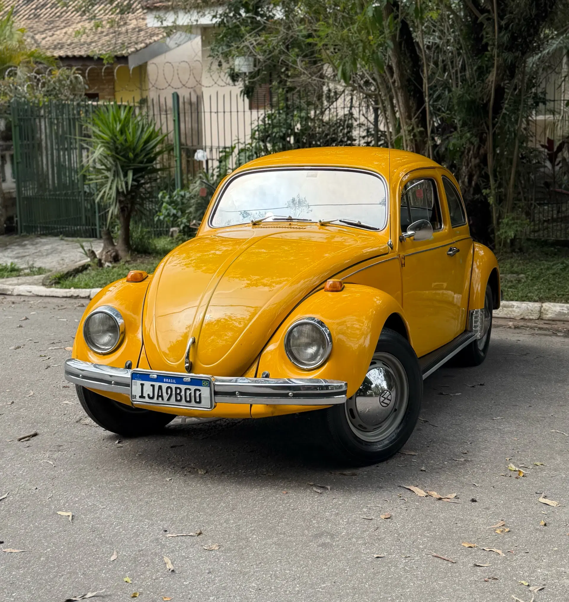 2ª imagem da campanha