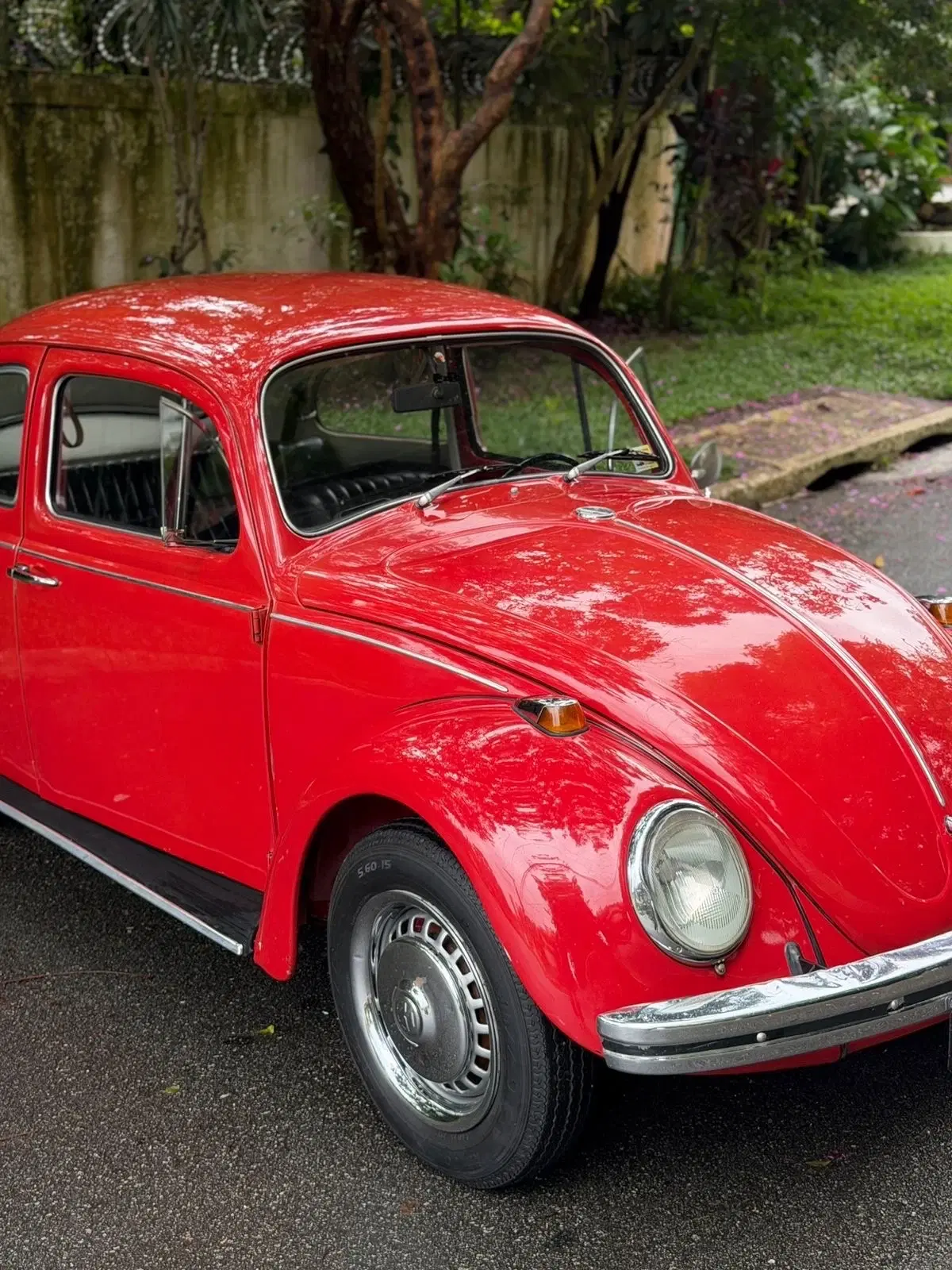 7ª imagem da campanha