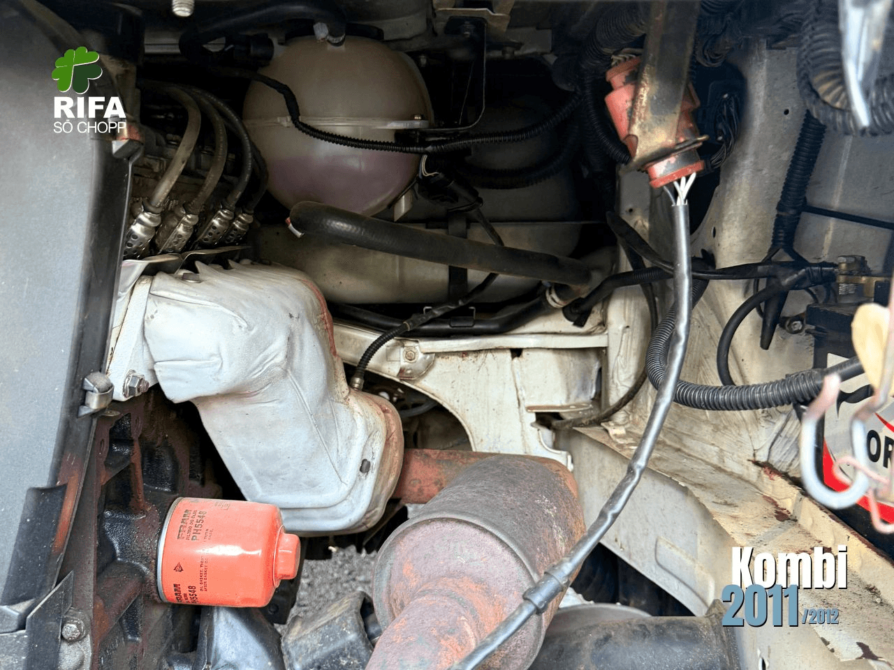 10ª imagem da campanha