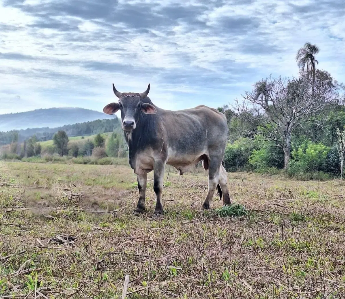 2ª imagem da campanha