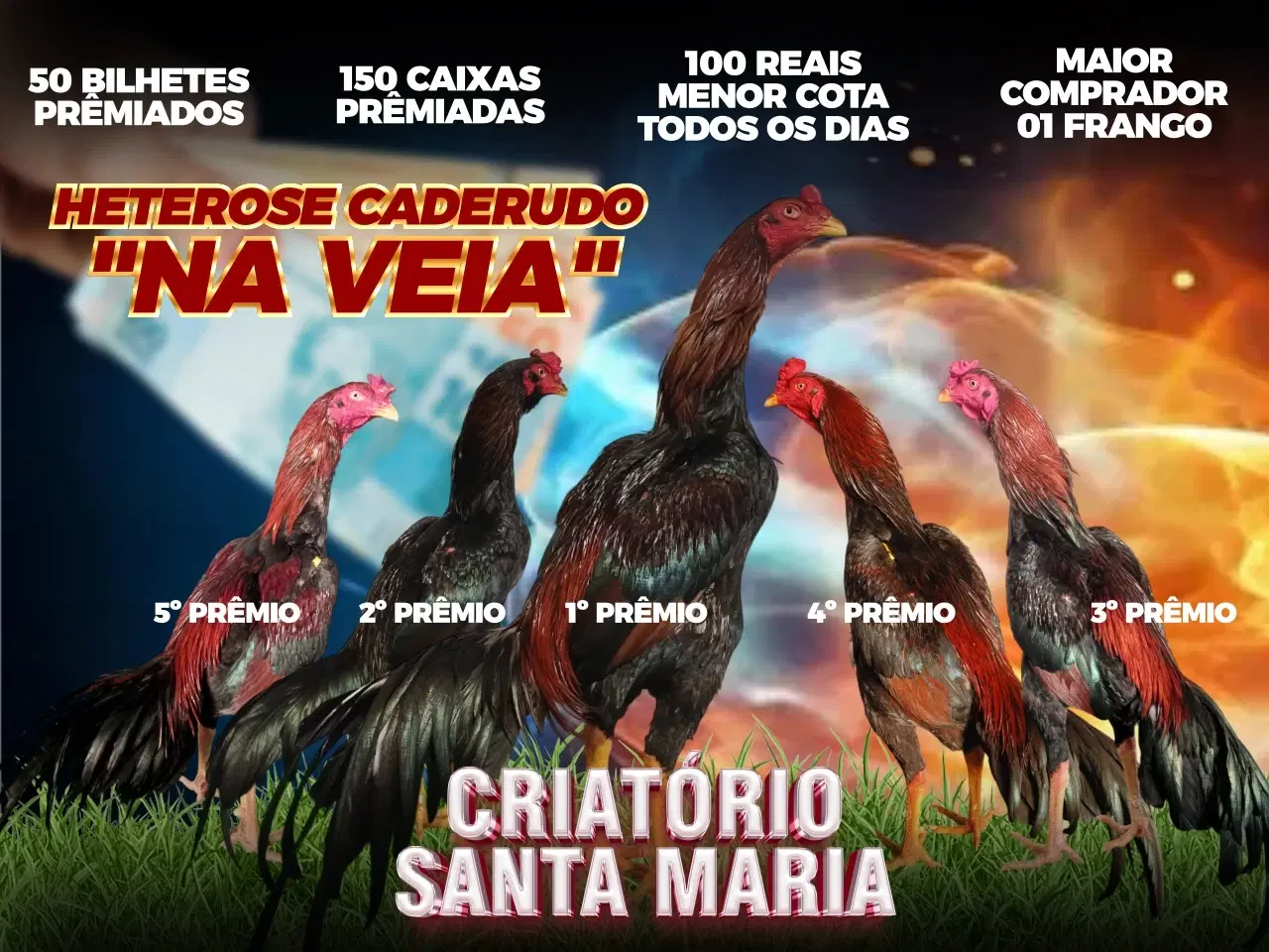 1ª imagem da campanha