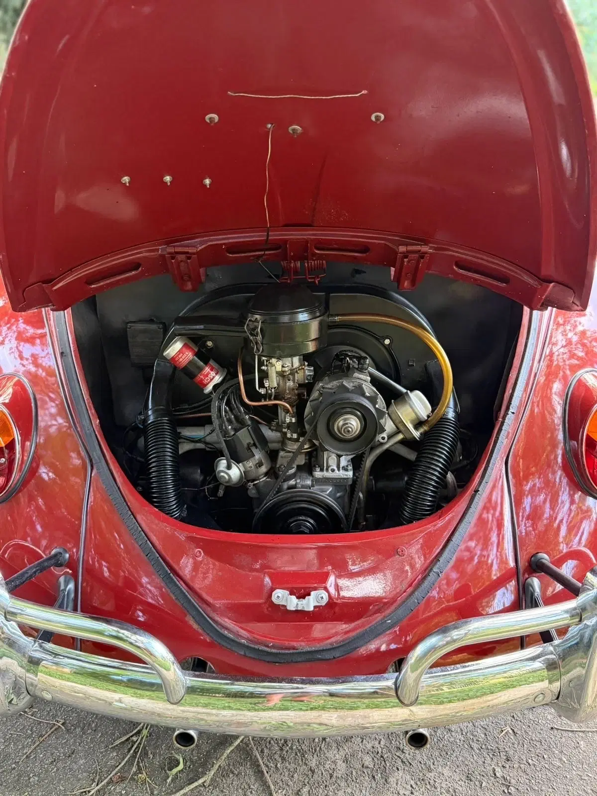 9ª imagem da campanha