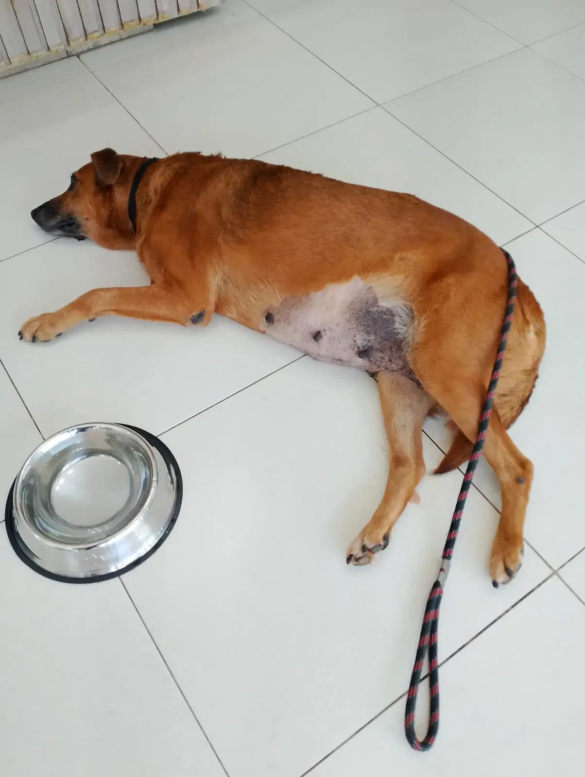 2ª imagem da campanha