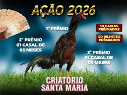 2026