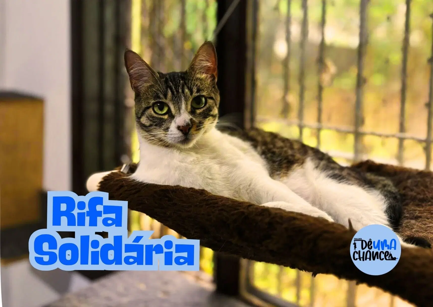 2ª imagem da campanha