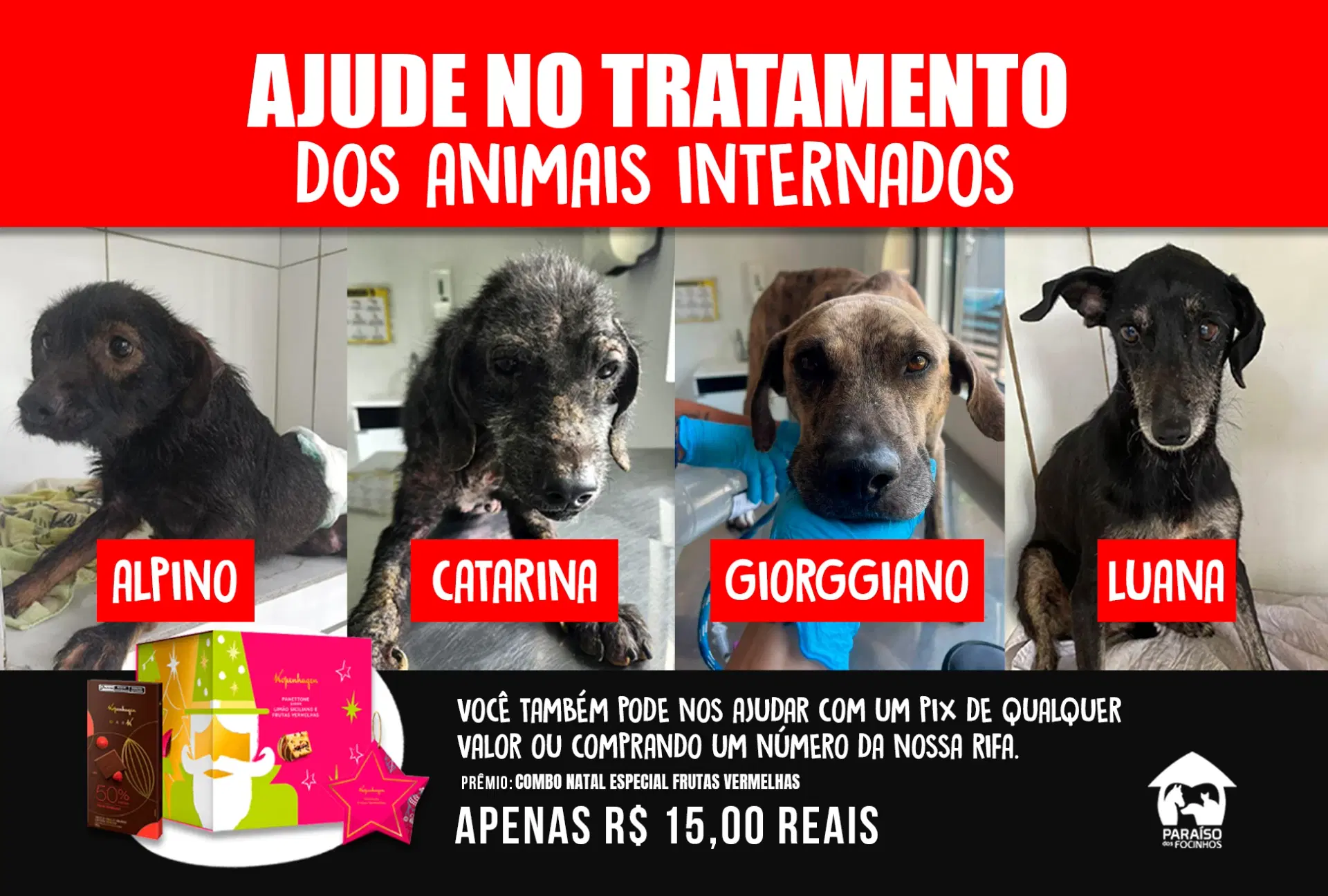 1ª imagem da campanha