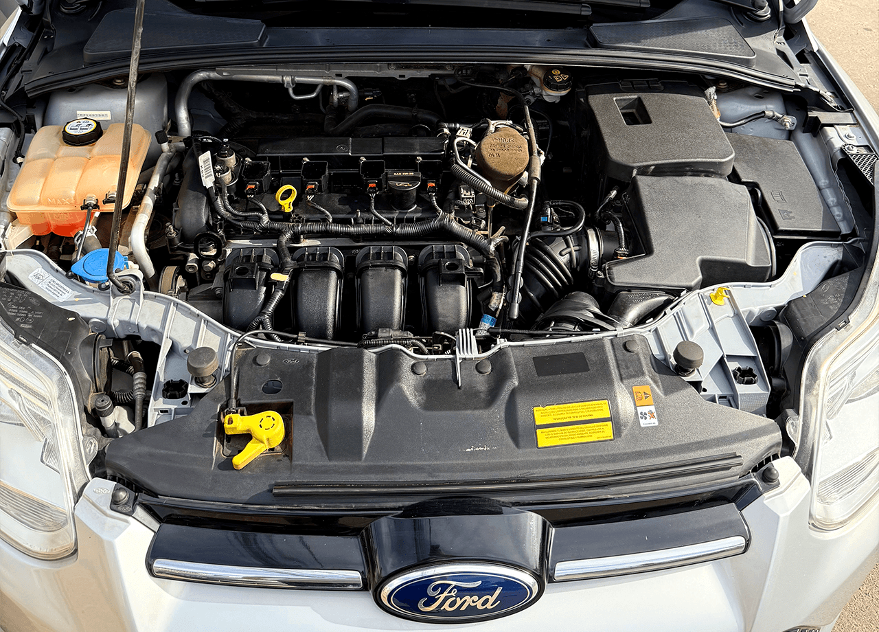 12ª imagem da campanha