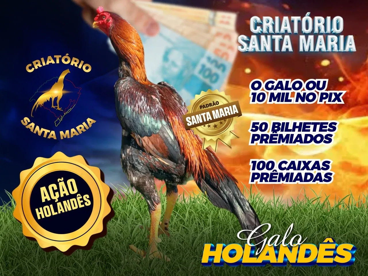 HOLANDÊS
