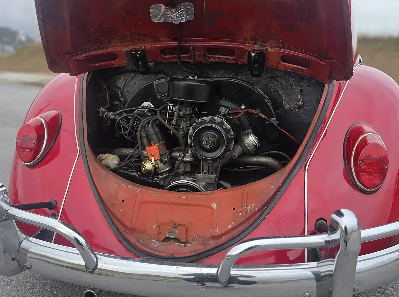 14ª imagem da campanha