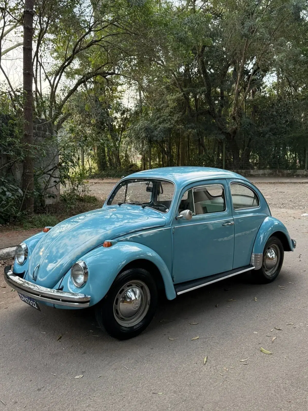 12ª imagem da campanha