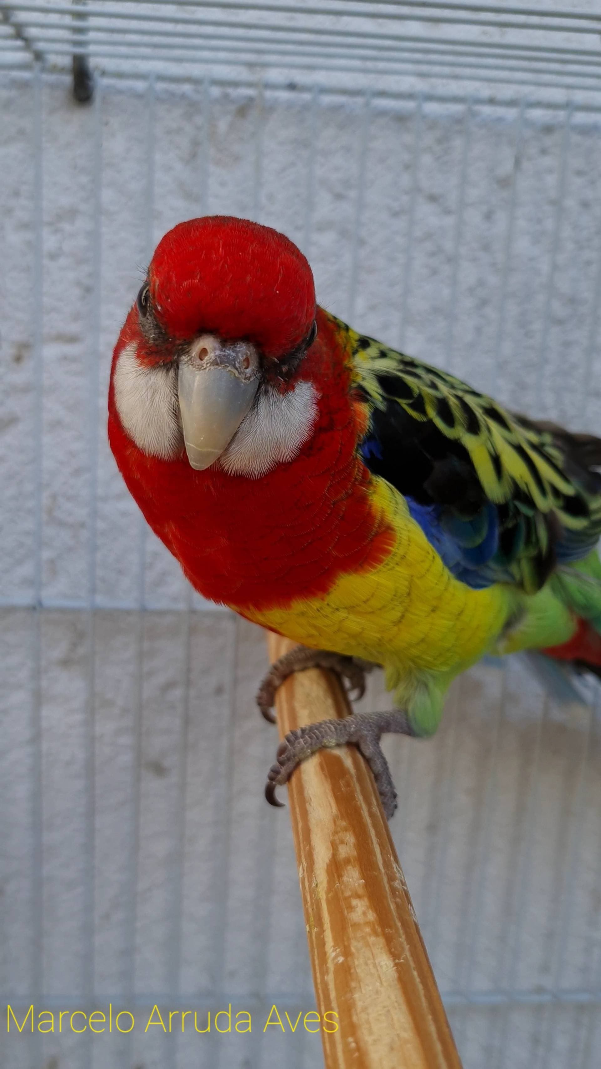 2ª imagem da campanha