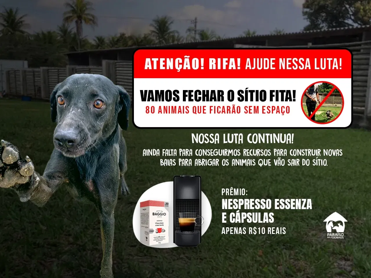 Precisamos construir novas baias!