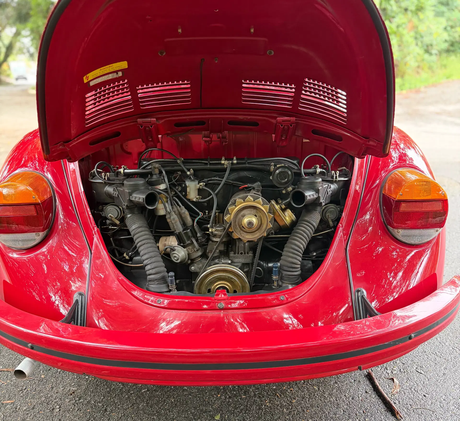 12ª imagem da campanha