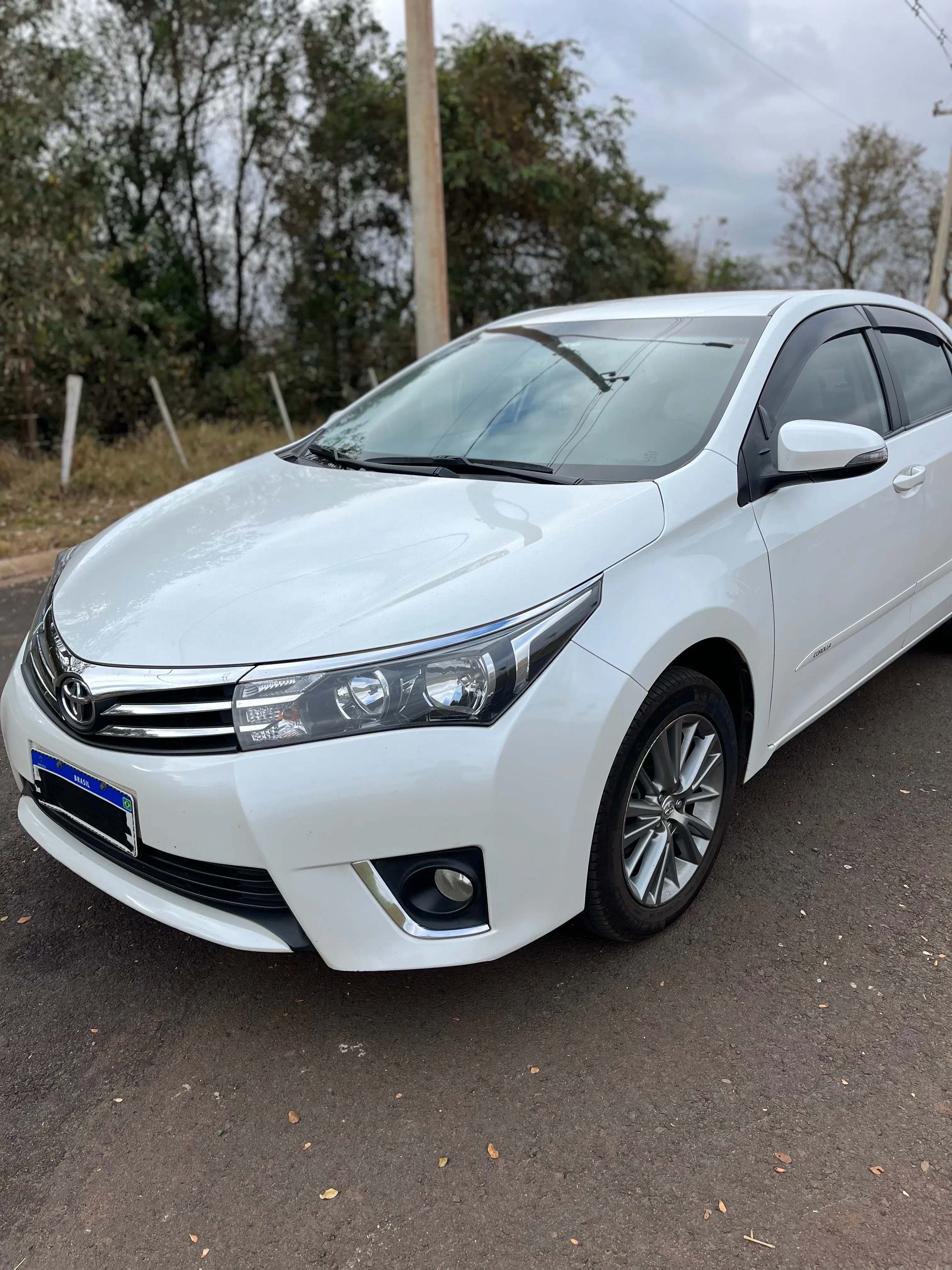 2ª imagem da campanha