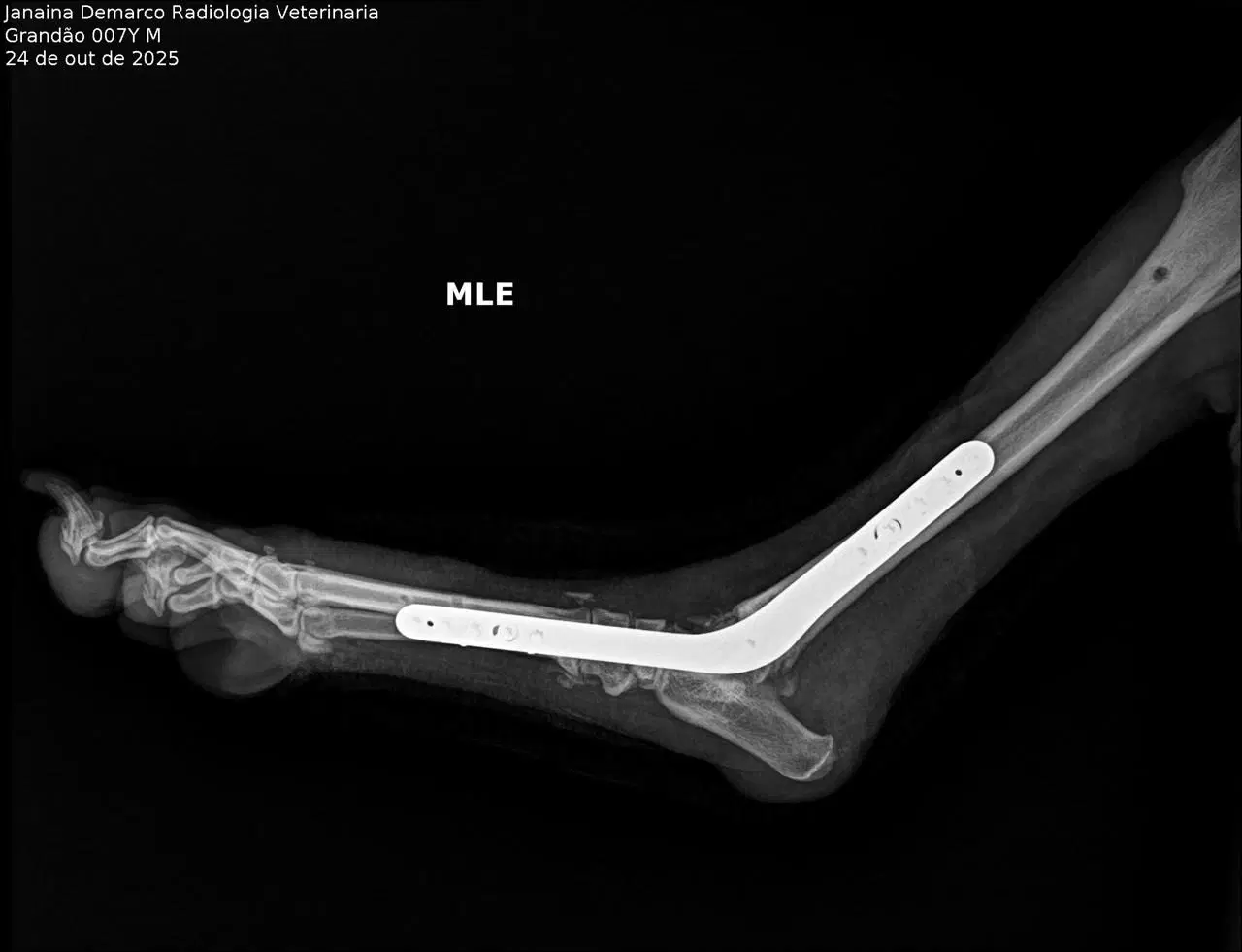 2ª imagem da campanha