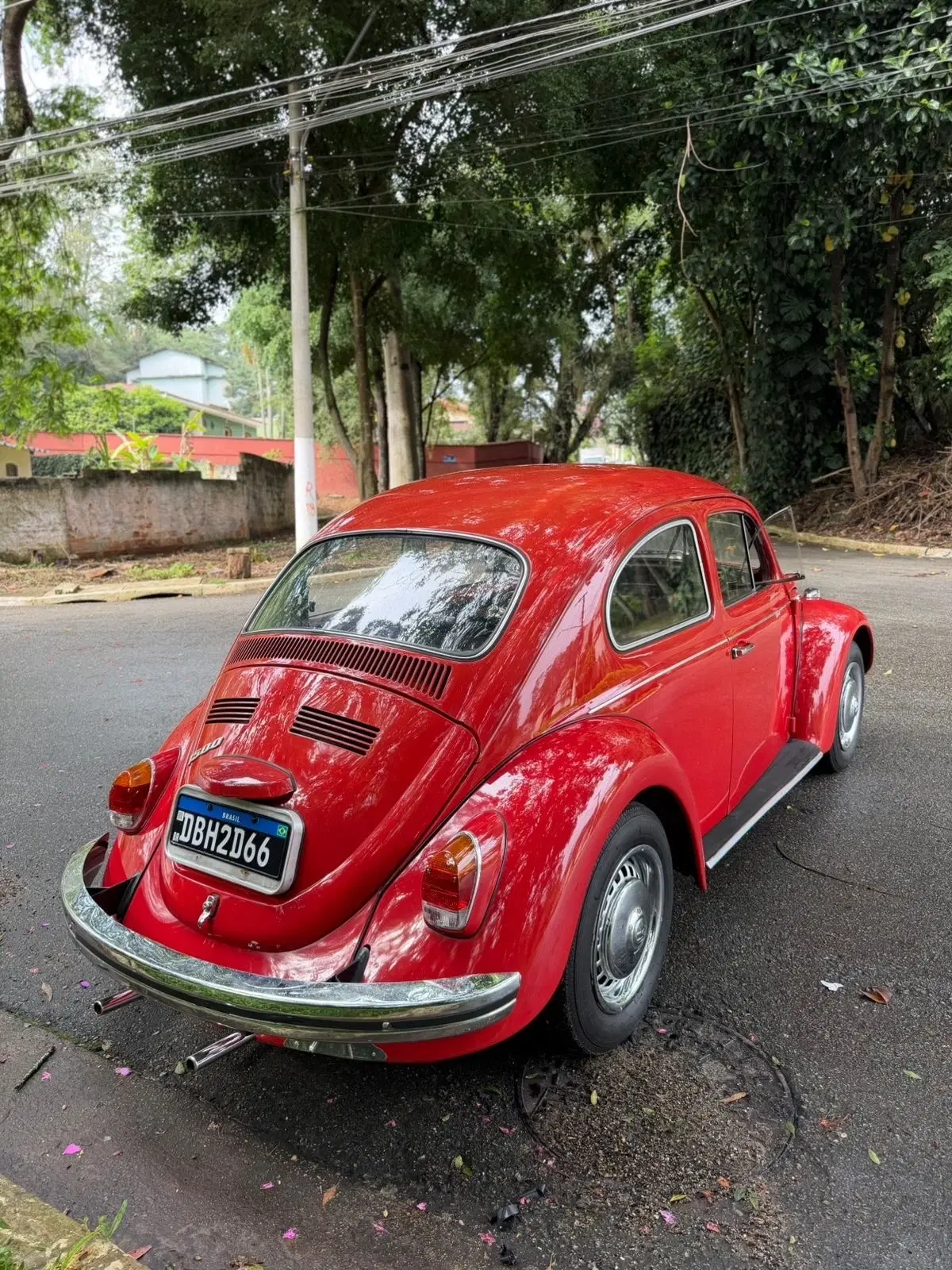 3ª imagem da campanha