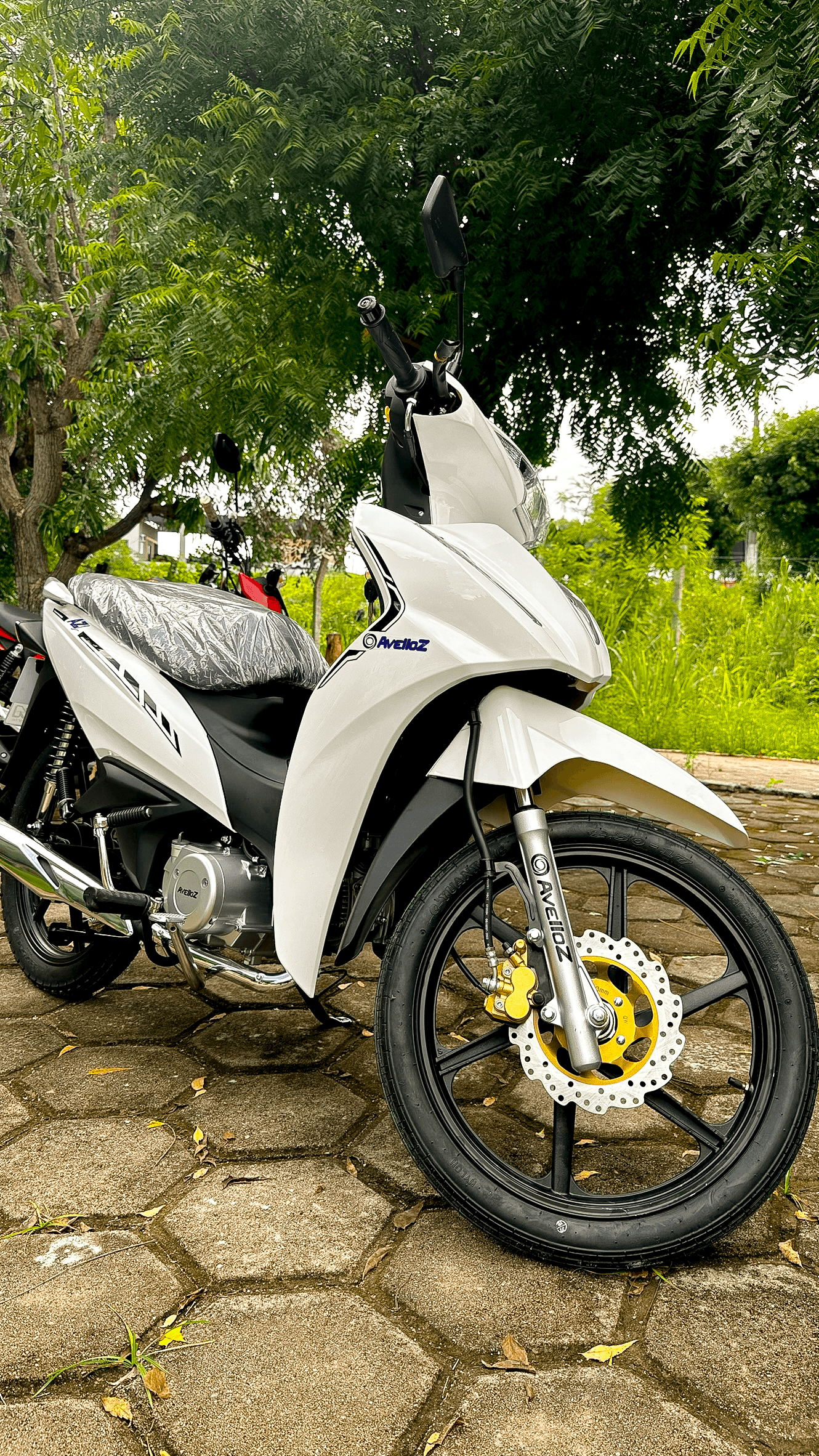 2ª imagem da campanha