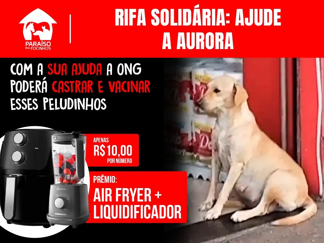 1ª imagem da campanha