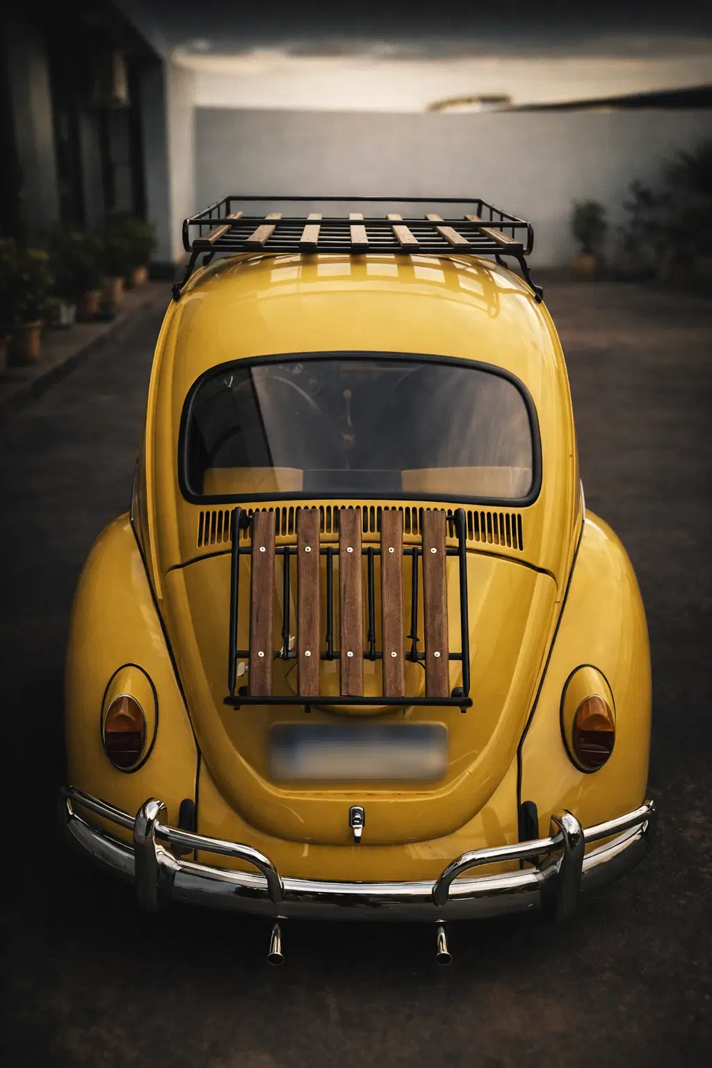 8ª imagem da campanha