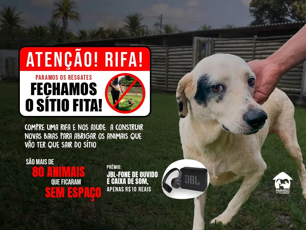 1ª imagem da campanha