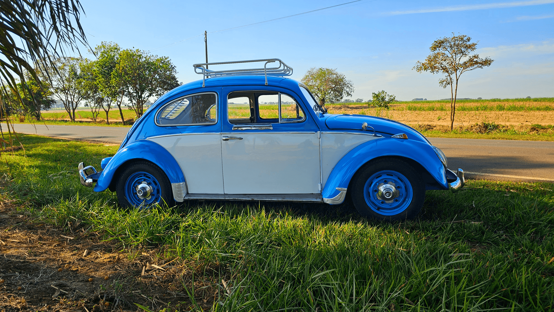 6ª imagem da campanha