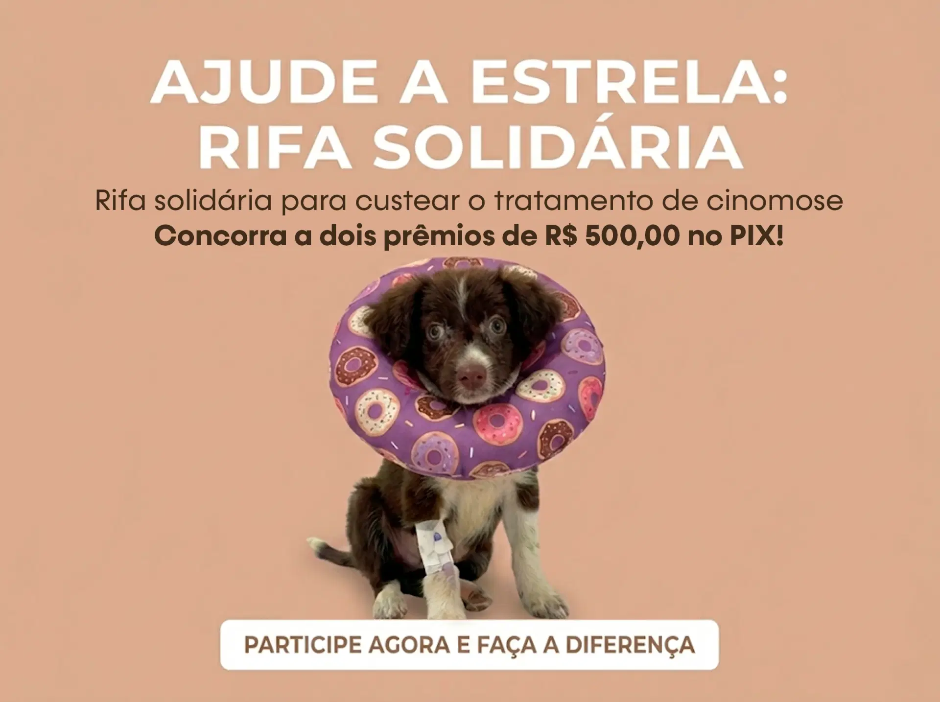 1ª imagem da campanha