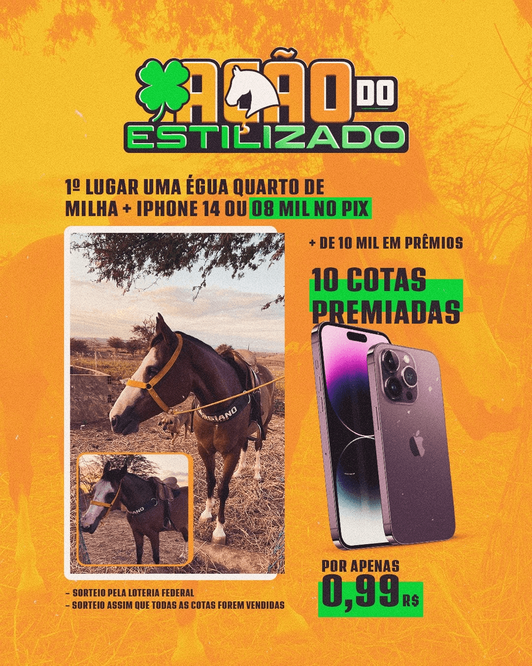 1ª imagem da campanha