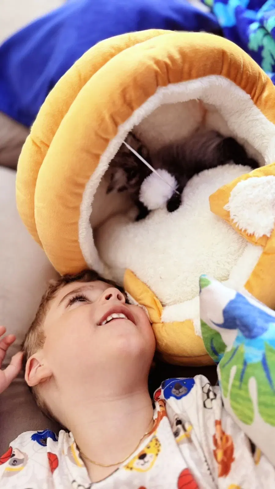 3ª imagem da campanha