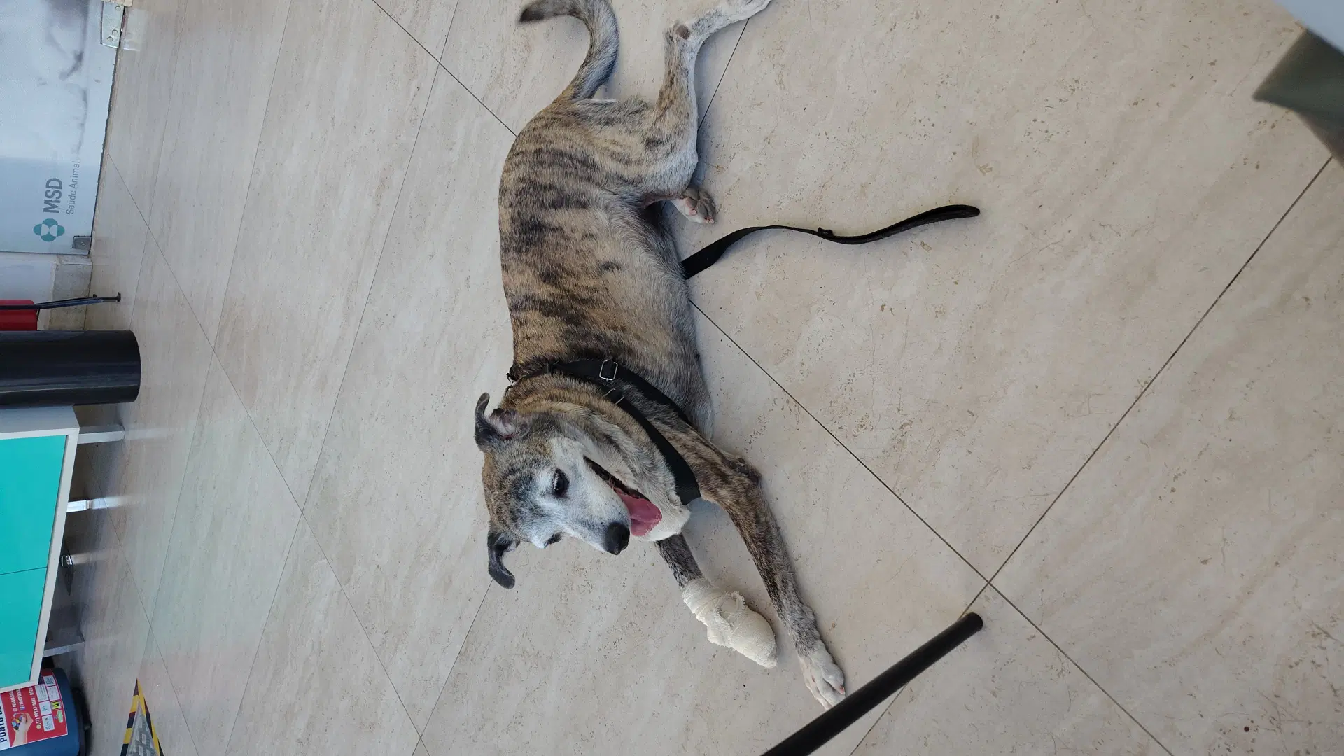 1ª imagem da campanha