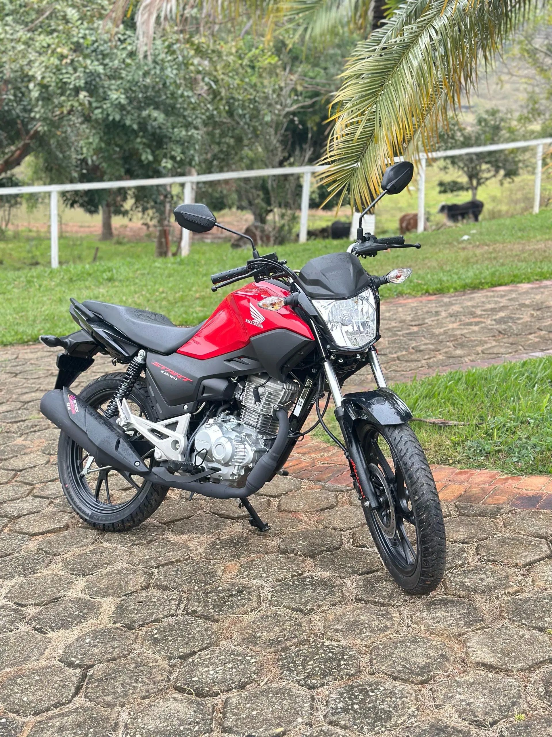 3ª imagem da campanha