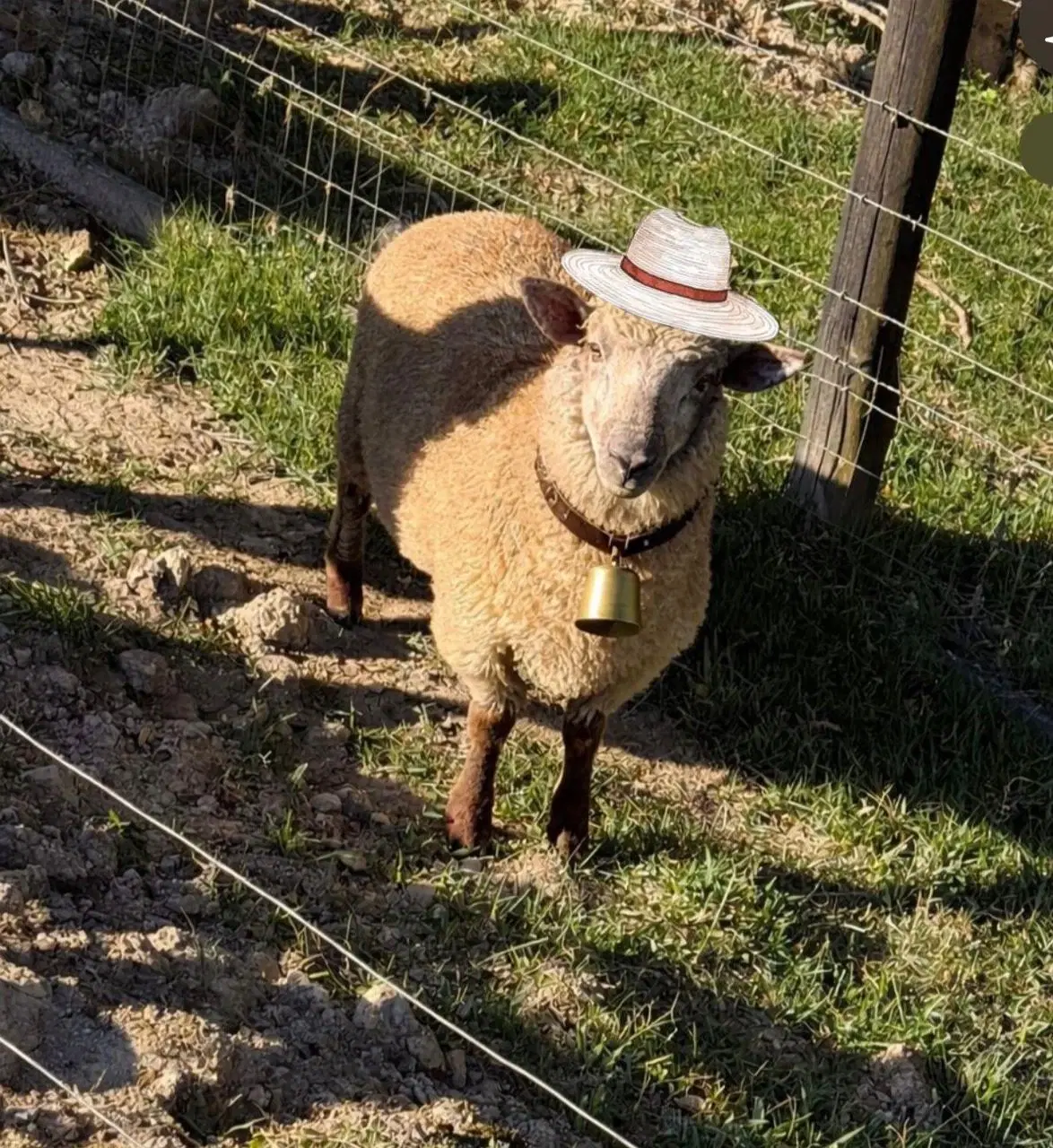 3ª imagem da campanha