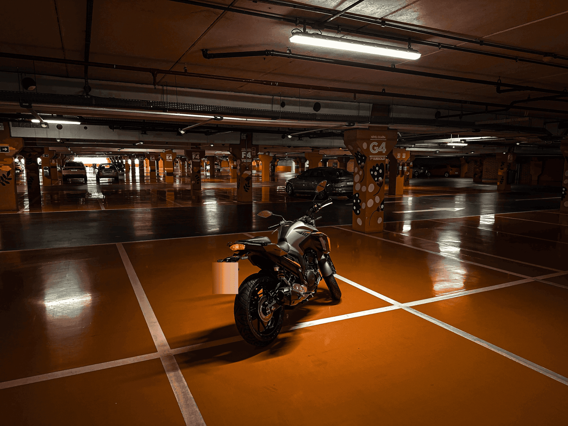 8ª imagem da campanha