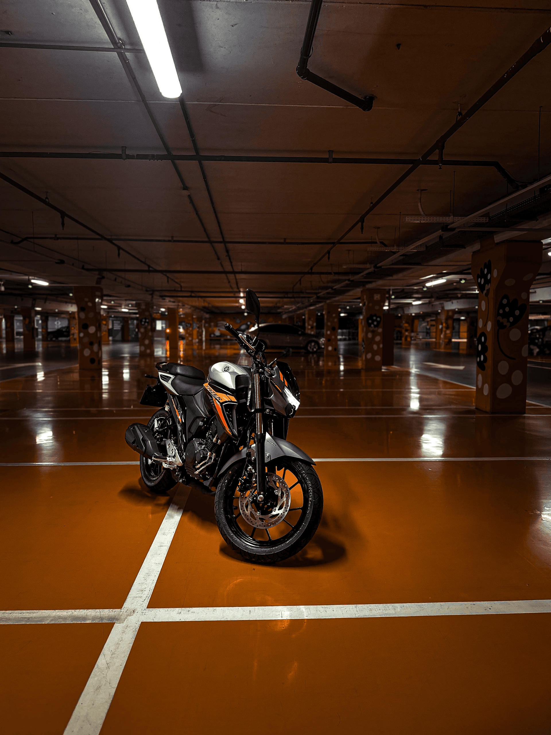 7ª imagem da campanha