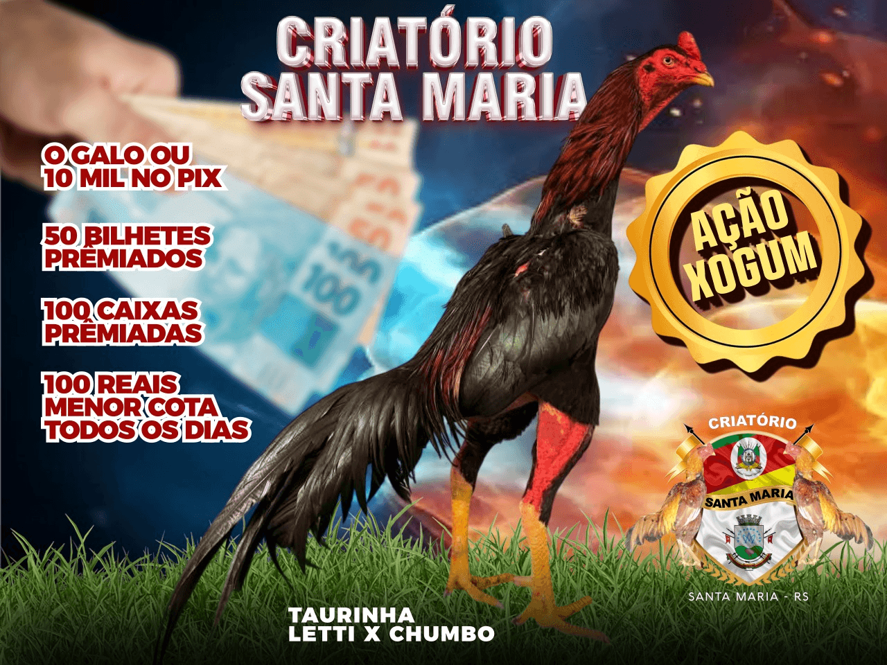 1ª imagem da campanha