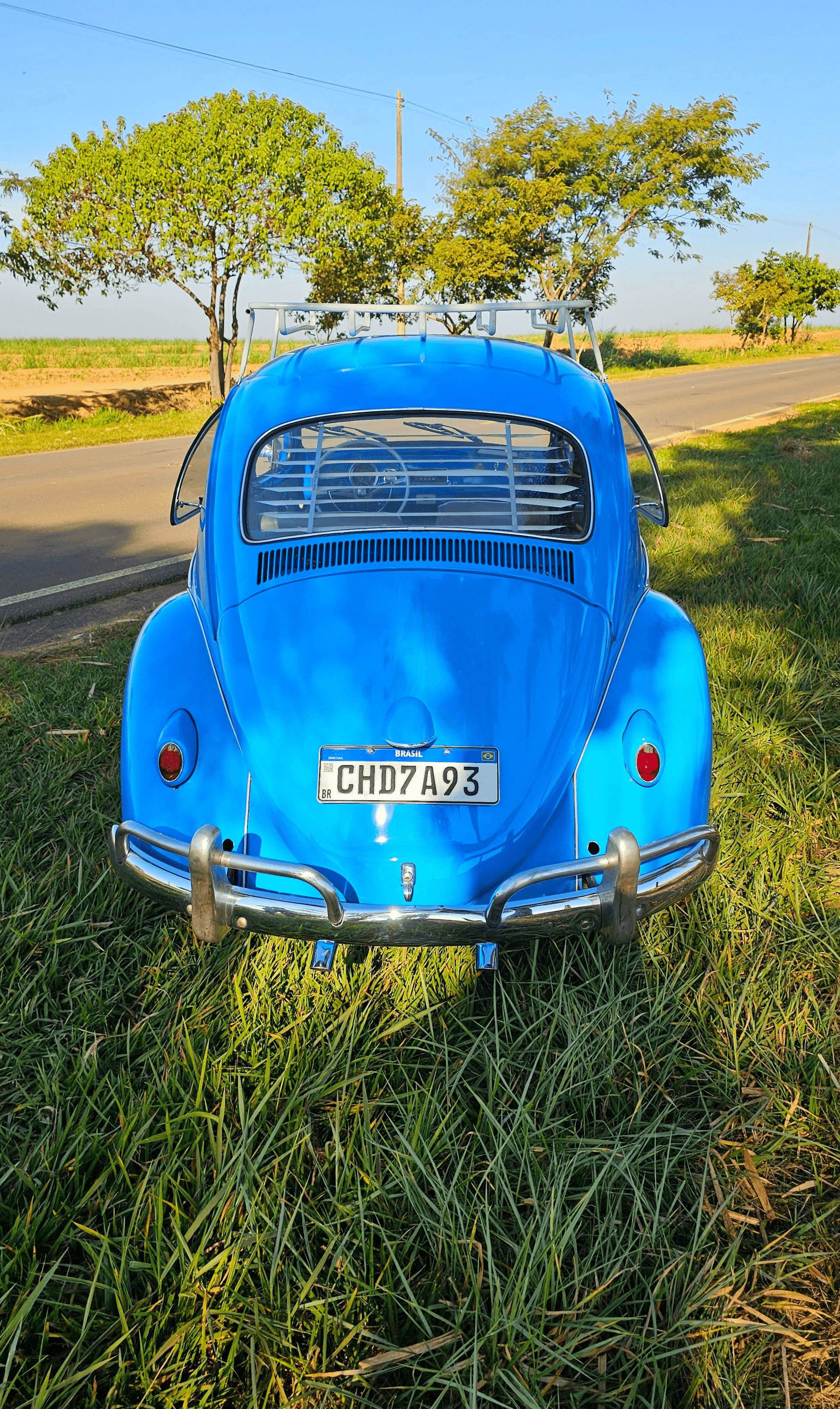 10ª imagem da campanha