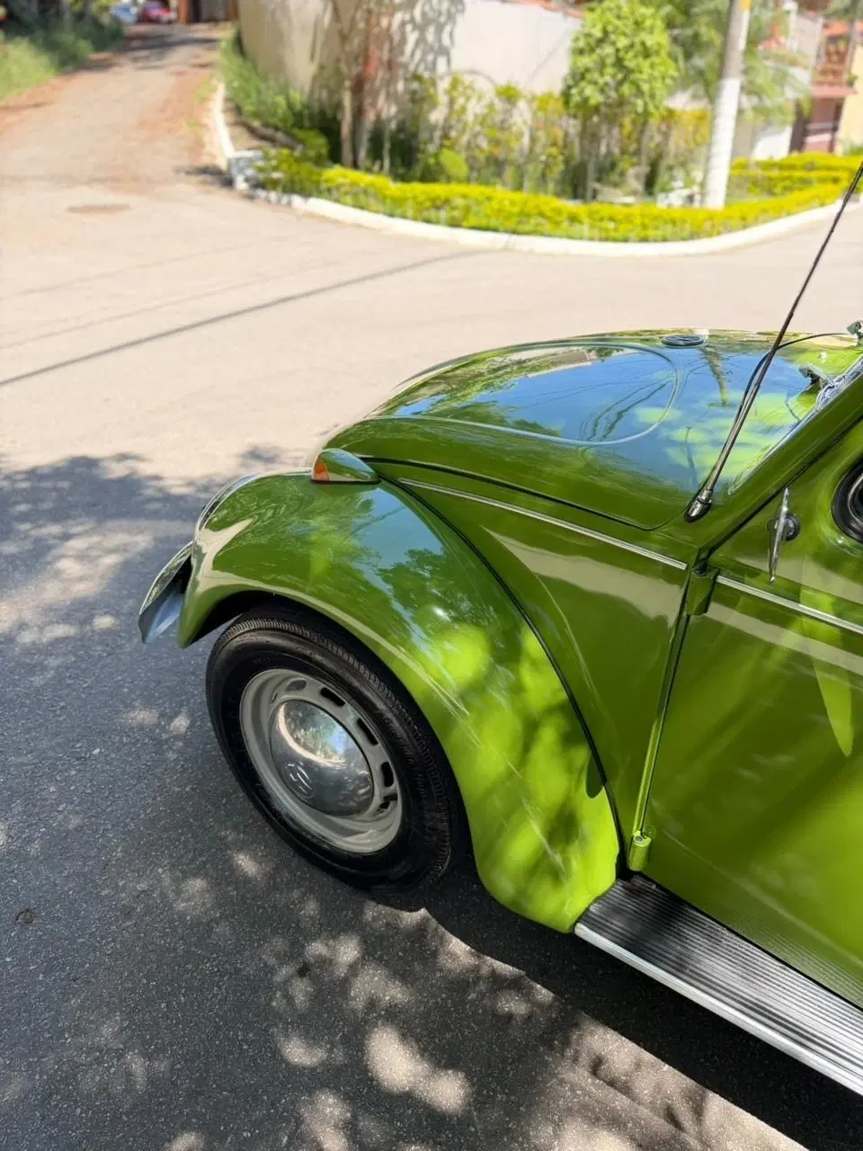 12ª imagem da campanha