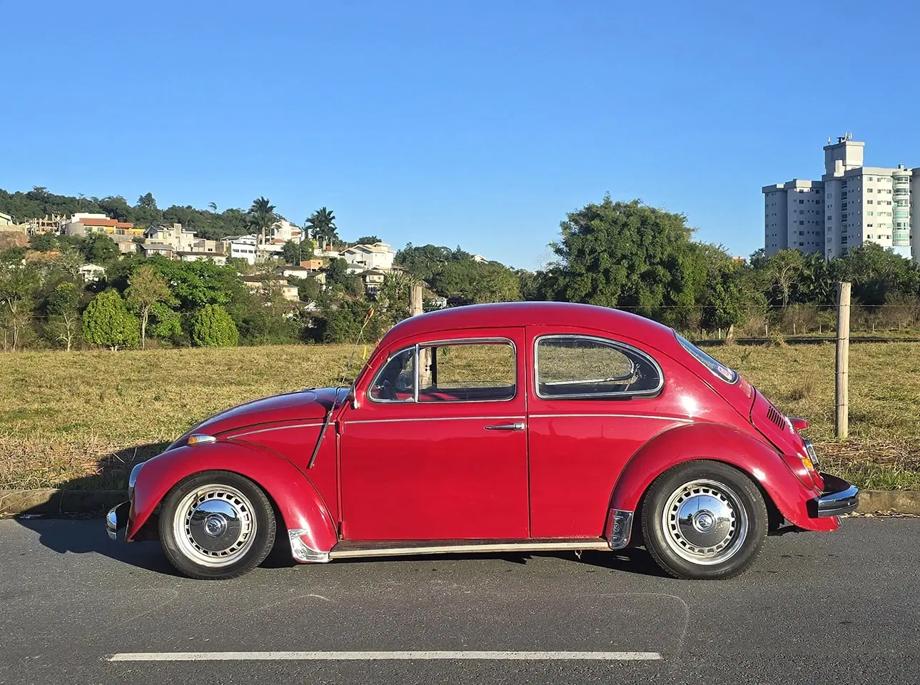 11ª imagem da campanha