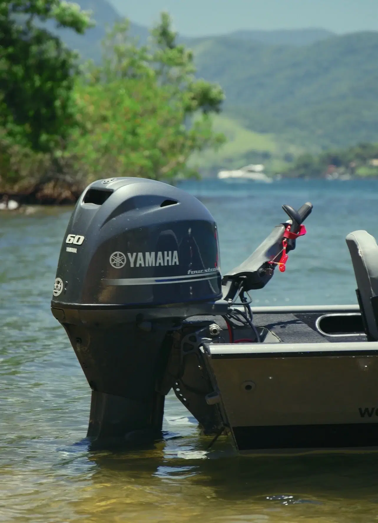 11ª imagem da campanha