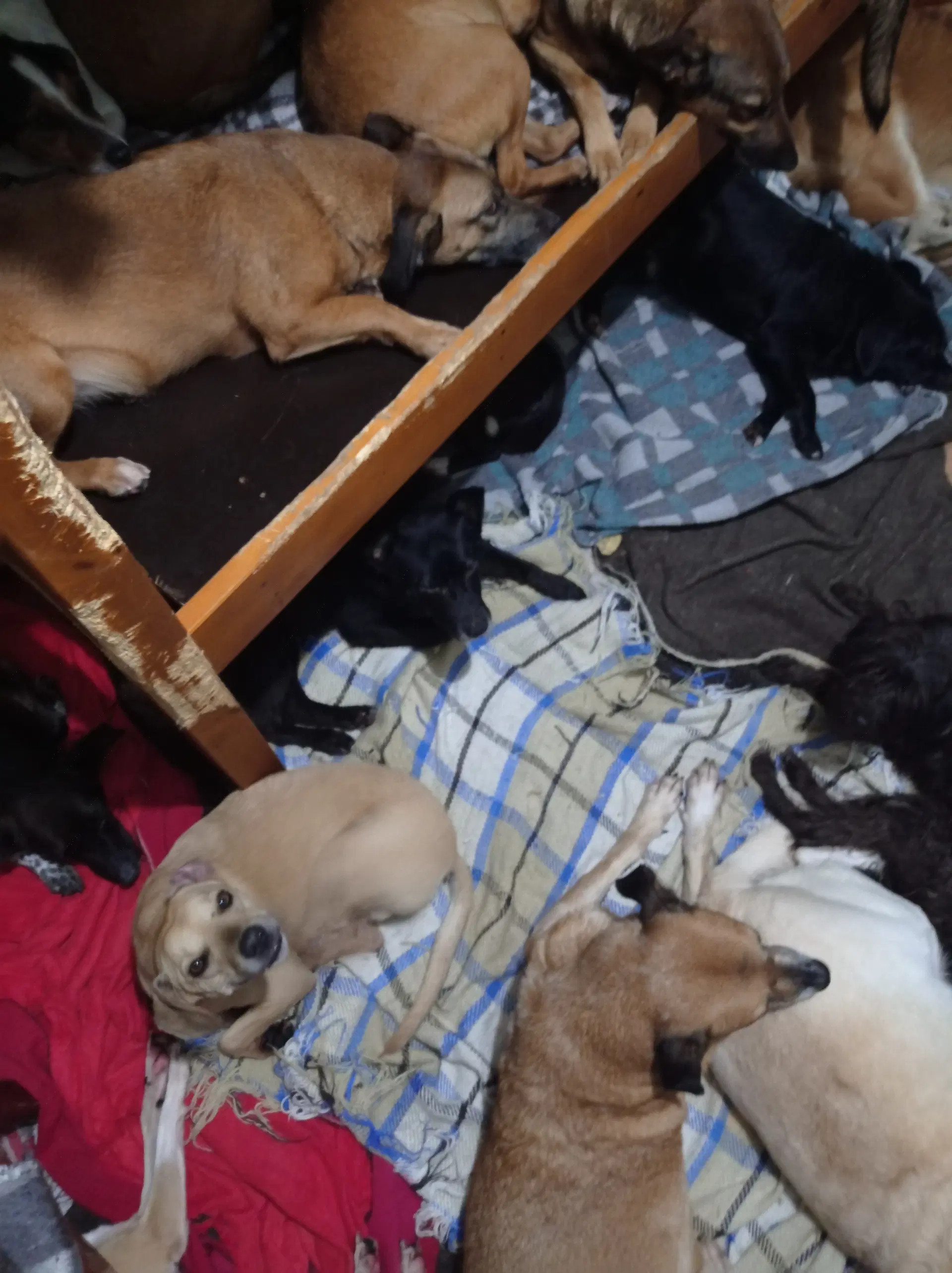 4ª imagem da campanha