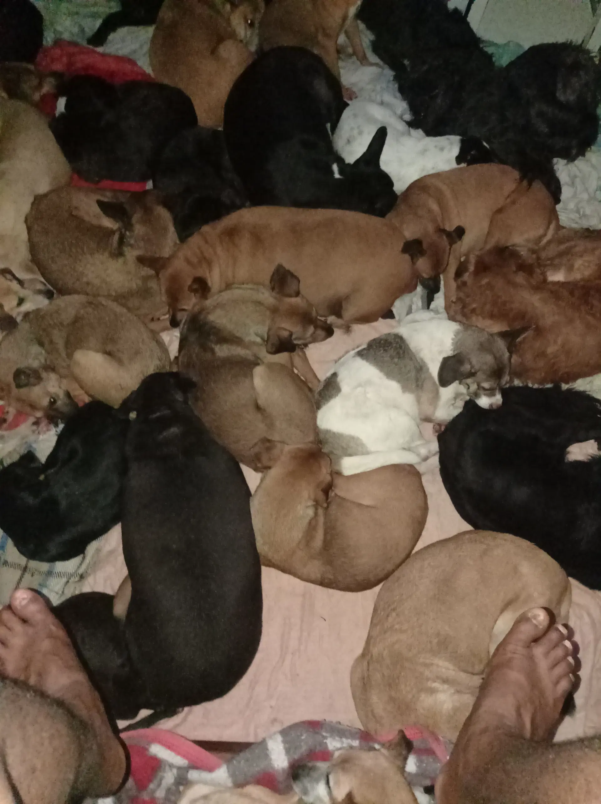 3ª imagem da campanha