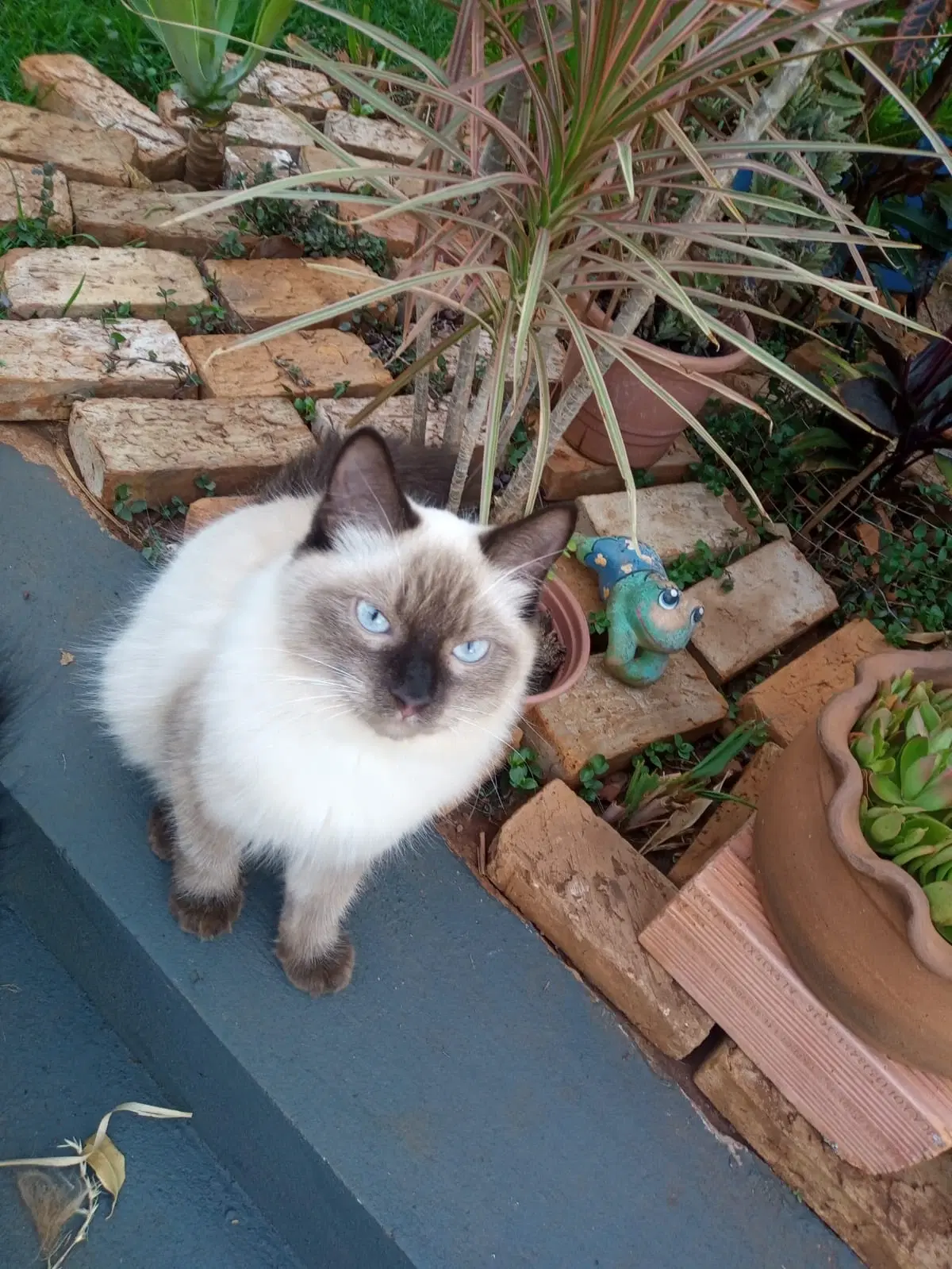 2ª imagem da campanha