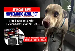 NOVEMBRO AZUL PET