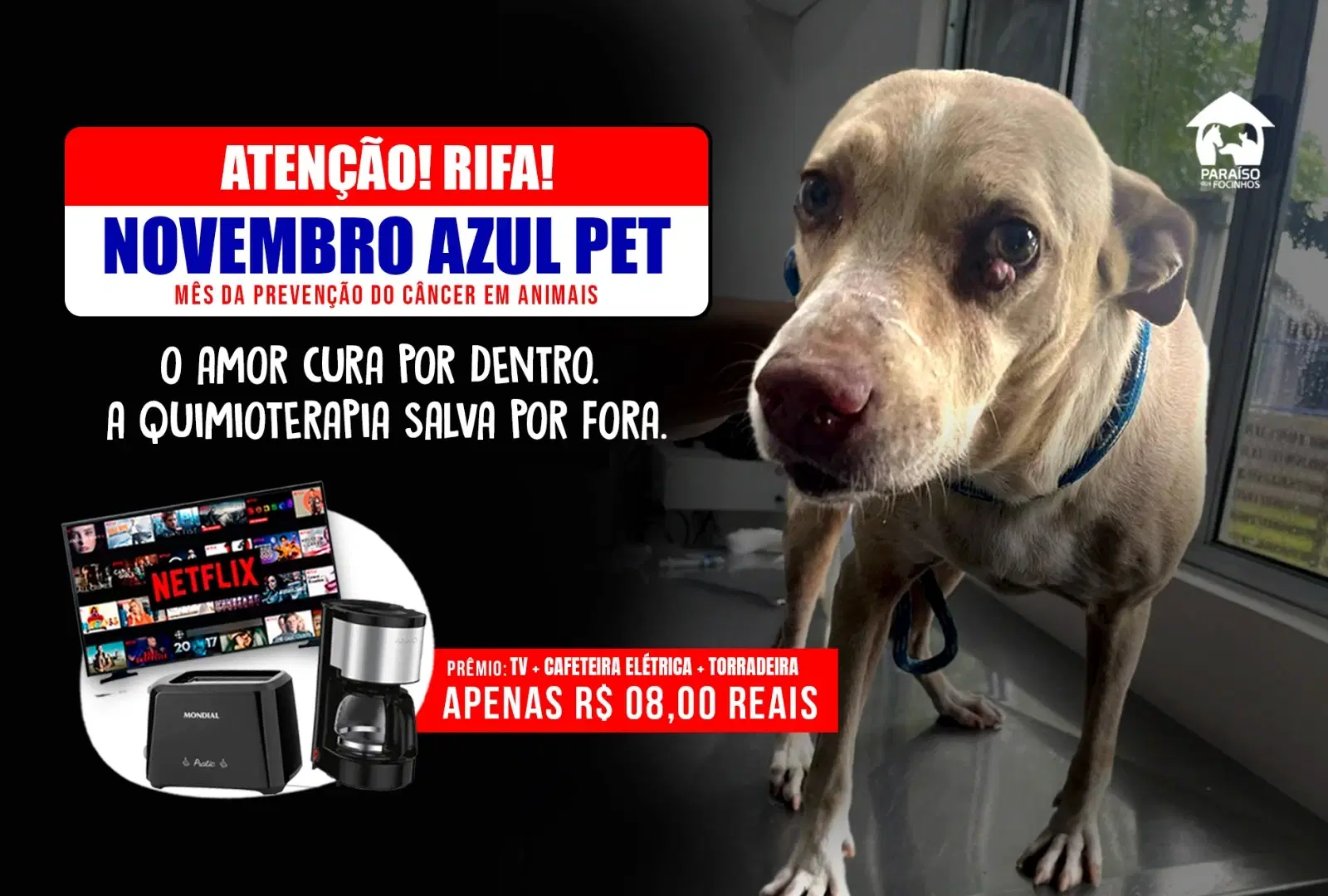 NOVEMBRO AZUL PET